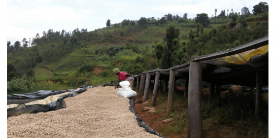 BURUNDI BUTIHINDA