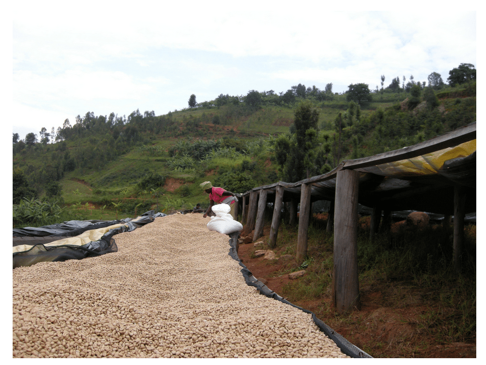 BURUNDI BUTIHINDA