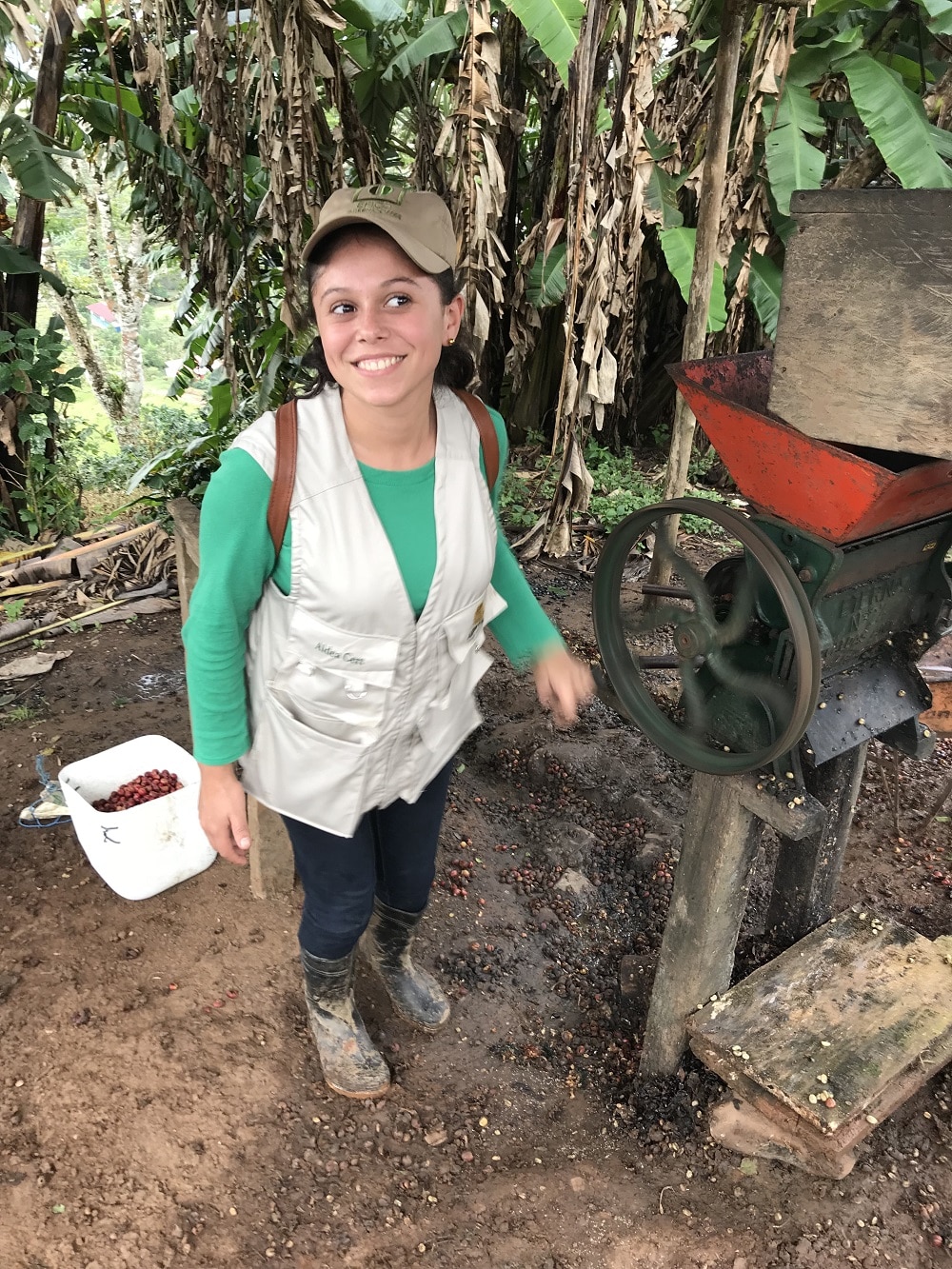 NICARAGUA SHG COLIBRI AZUL