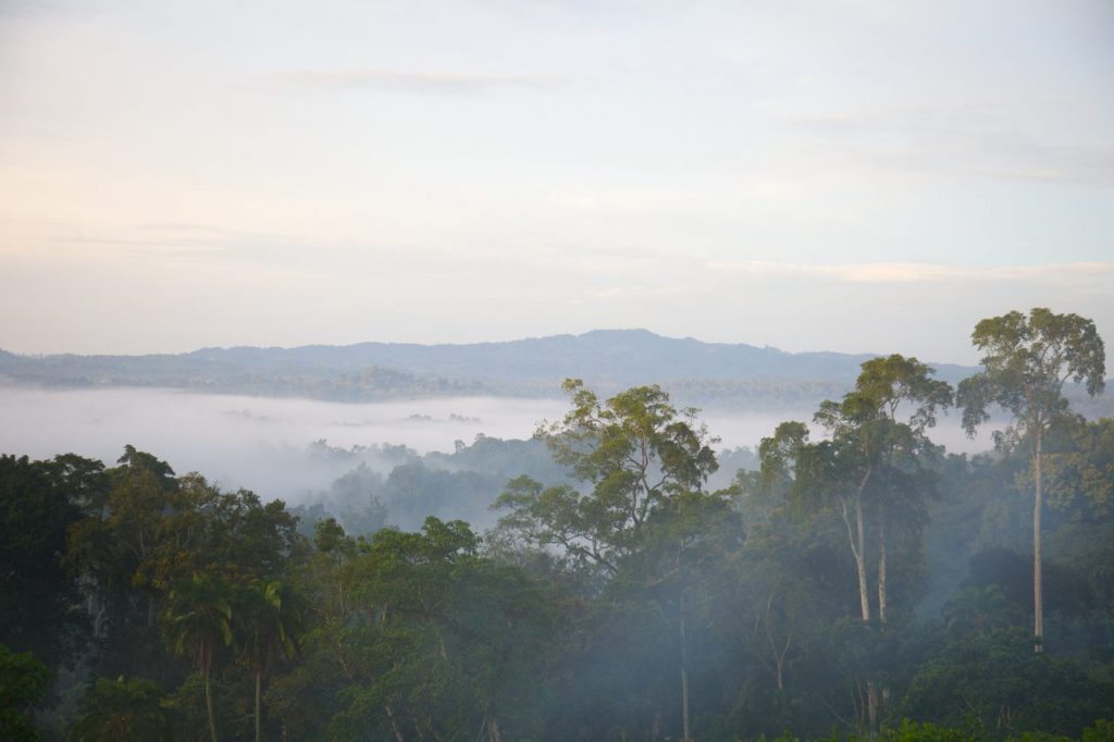 Ethiopia landscape