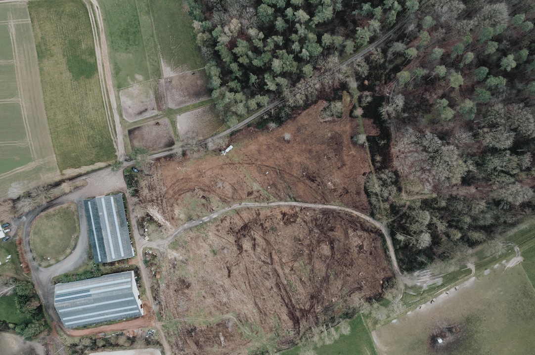 EFICO 2023 TREES WITH AN IMPACT - LASNE PLOT