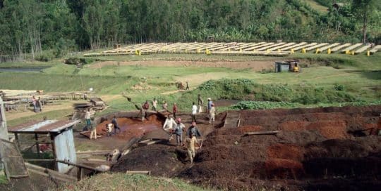 Pilot project in Bokasso cooperative_1