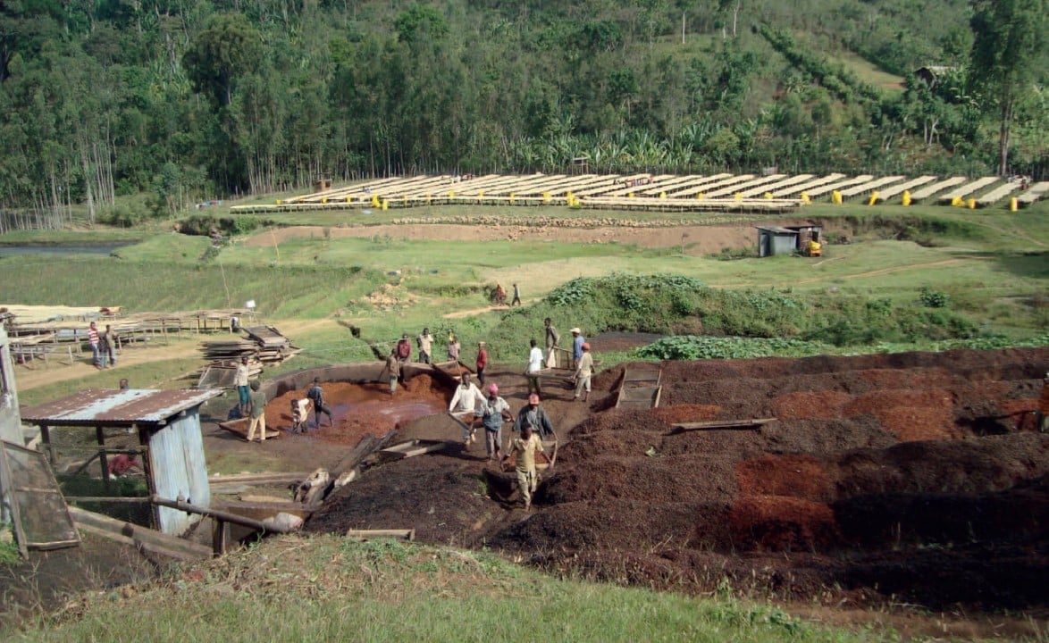 Pilot project in Bokasso cooperative_1