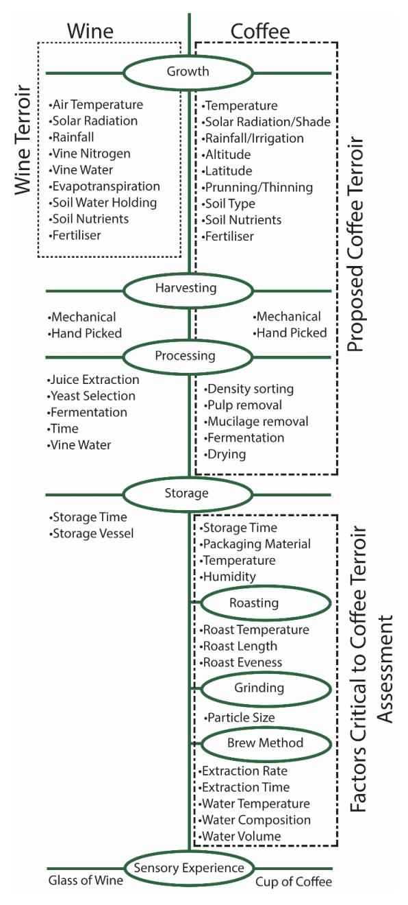 EFICO - Terroir - Why Coffee is (nothing) like Wine