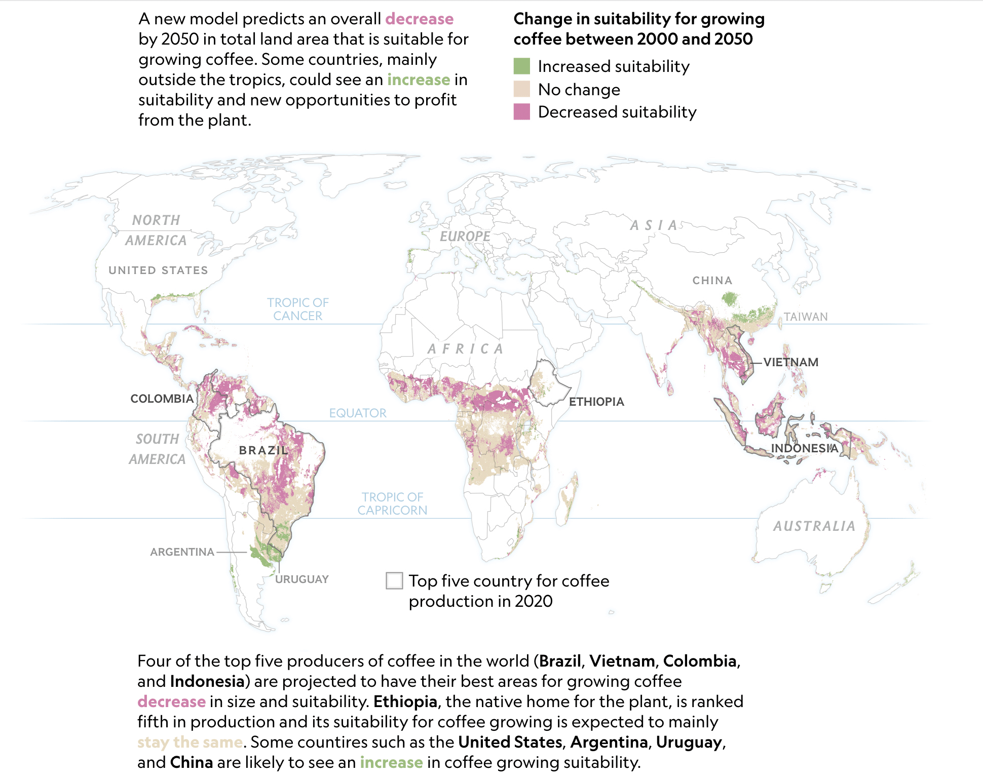 EFICO - Terroir - Why Coffee is (nothing) like Wine