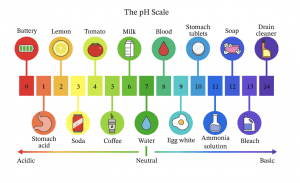 CUPRIMA - COFFEE CHEMISTRY & ACIDITY A ROAST & BREW GUIDE 