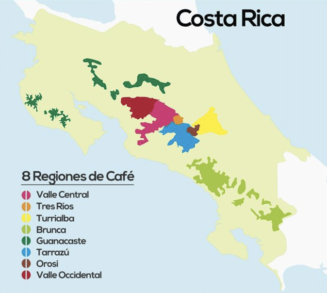 CUPRIMA - COSTA RICA - WHAT TO EXPECT FROM CROP 2022/2023