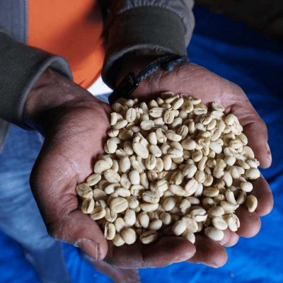 CUPRIMA - ETHIOPIA - WHAT TO EXPECT FROM CROP 2022/2023