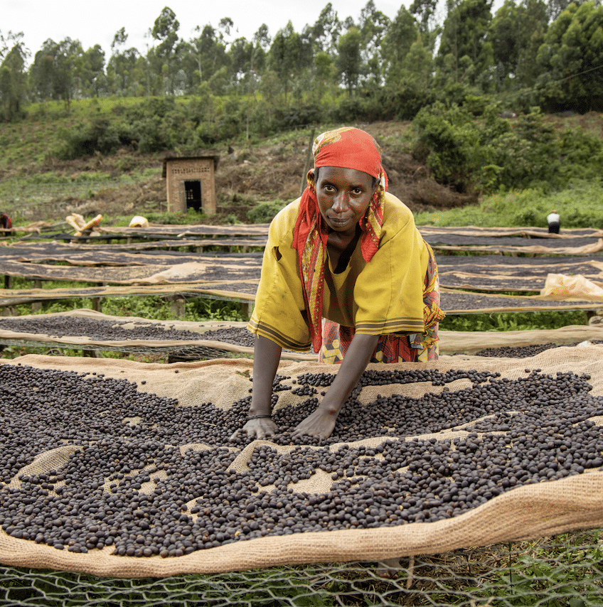 EFICO COFFEE - EAST AFRICA