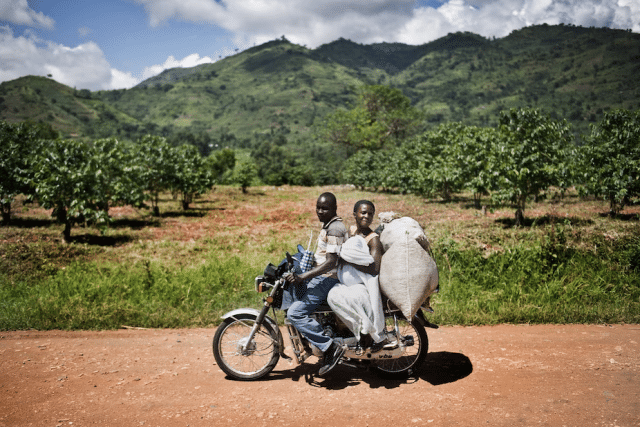 EFICO Coffee - East Africa