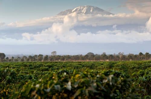 Kilimanjaro Water and Food for All_1