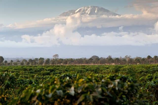 Kilimanjaro Water and Food for All_1