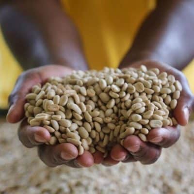 RWANDA - What to expect from next Crop ?