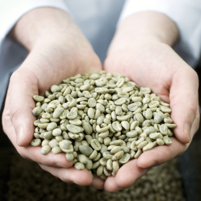 EFICO - WHY TEAMING UP WITH A GREEN COFFEE IMPORTER MAKES