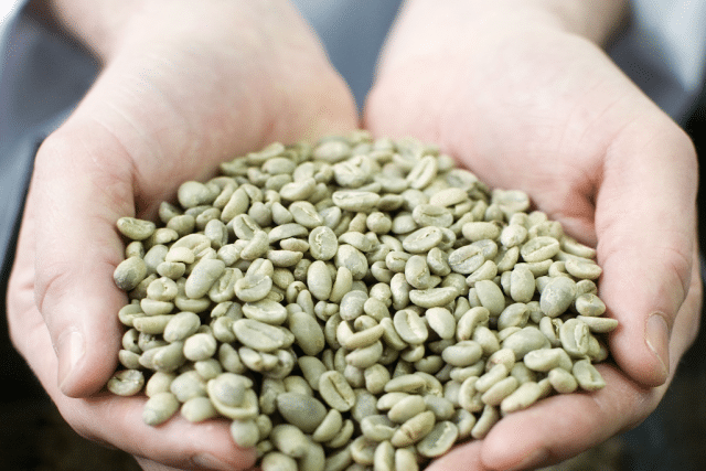 EFICO - WHY TEAMING UP WITH A GREEN COFFEE IMPORTER MAKES