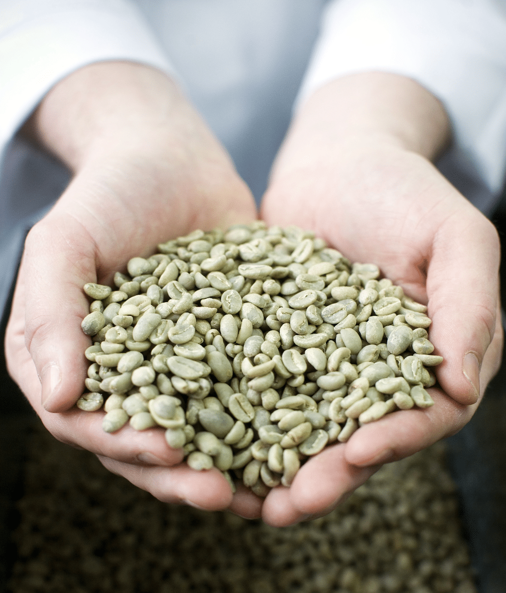 EFICO - WHY TEAMING UP WITH A GREEN COFFEE IMPORTER MAKES