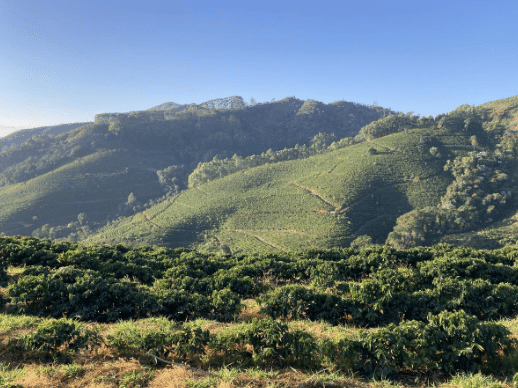 EFICO Fieldtrip Brazil - FAZENDA DUTRA