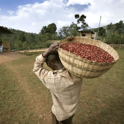 CUPRIMA BURUNDI