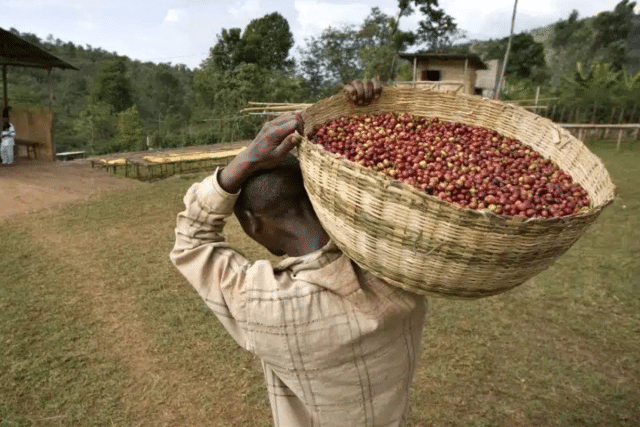CUPRIMA BURUNDI