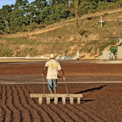 BRAZIL COFFEE 2025/2026 UPDATE 