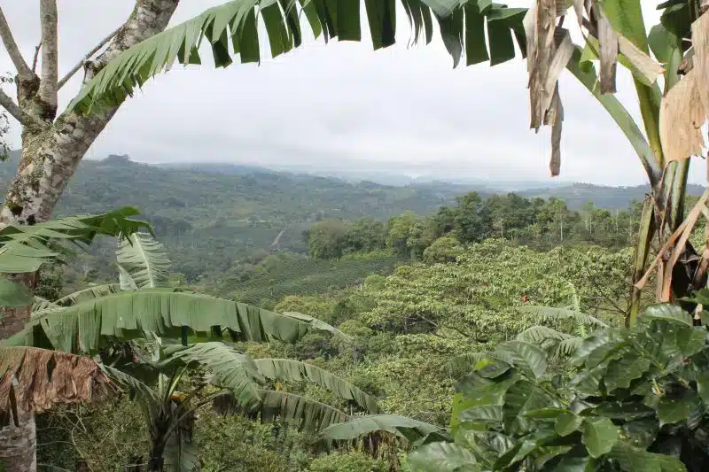 EFICO_8. Photo page 69-replacement