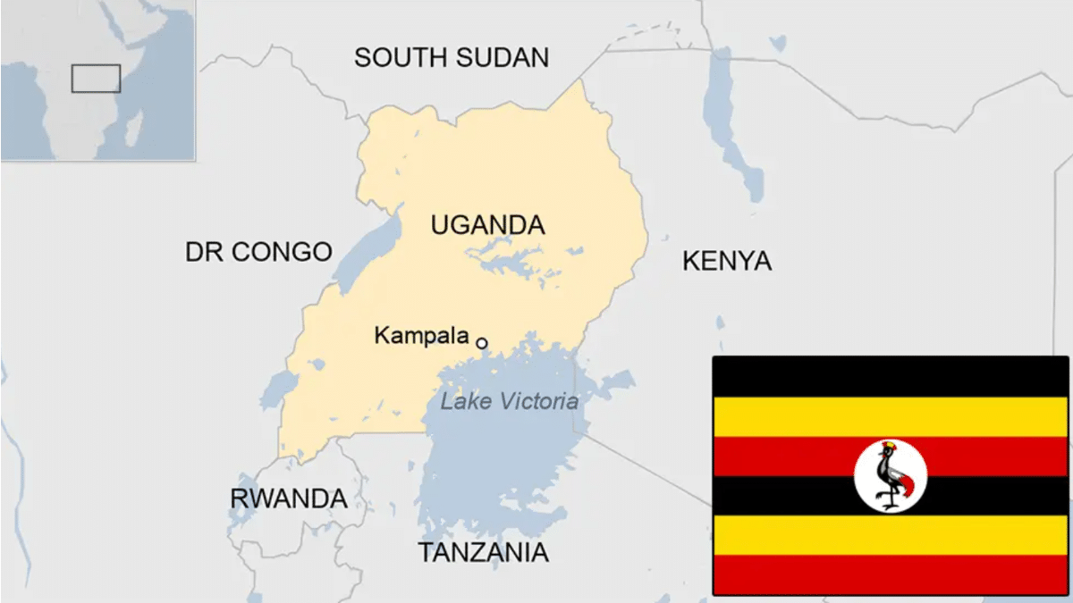 UGANDA COFFEE INSIGHT 2025/2026