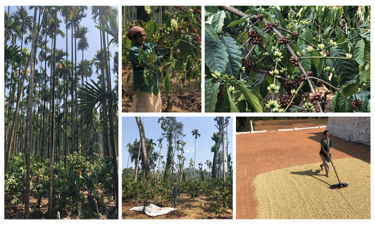 From Spice Routes, Sufi Saints and Monsoon Winds