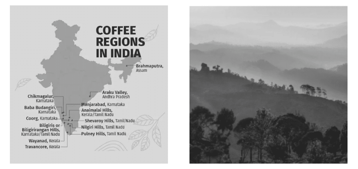 From Spice Routes, Sufi Saints and Monsoon Winds