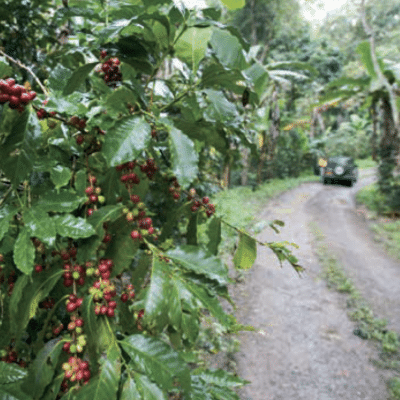 INSIGHTS INTO EFICO’S 2025 SOURCING STRATEGY & MARKET TRENDS