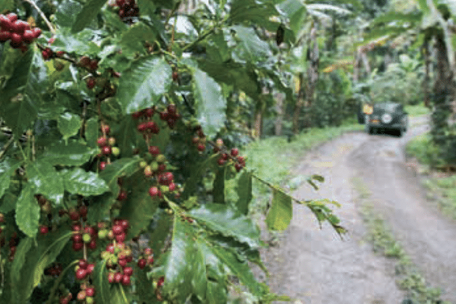 INSIGHTS INTO EFICO’S 2025 SOURCING STRATEGY & MARKET TRENDS